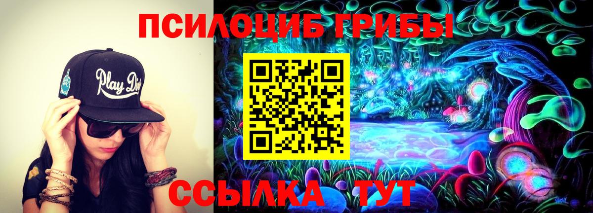 Галлюциногенные грибы Psilocybine cubensis Лиски